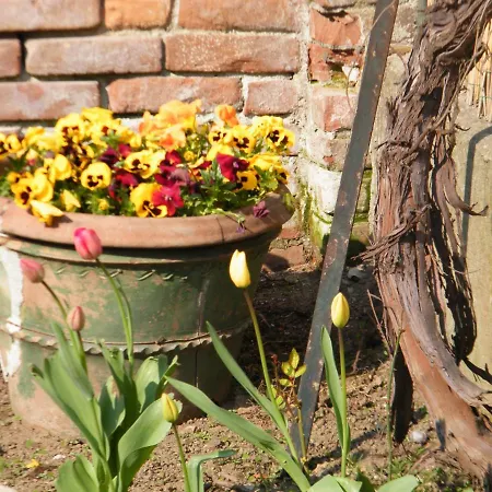 B&bvintage5bis * トリノ