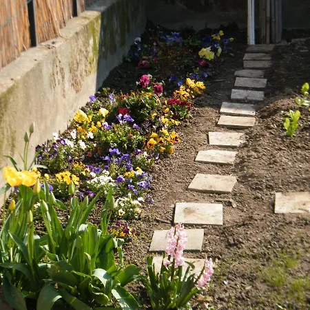 B&bvintage5bis ベッド・アンド・ブレックファスト *