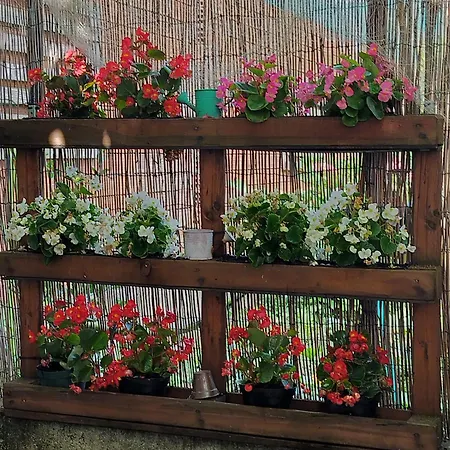 B&bvintage5bis Bed & Breakfast Turijn