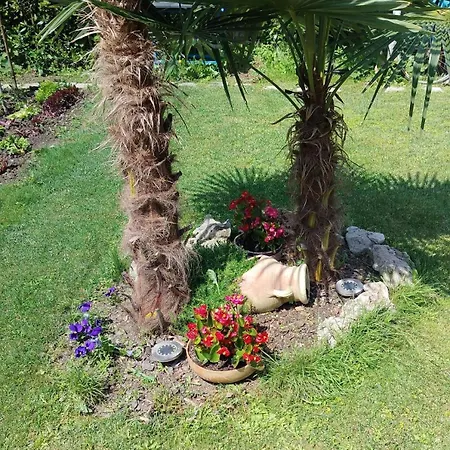 Bed and breakfast B&bvintage5bis Turín